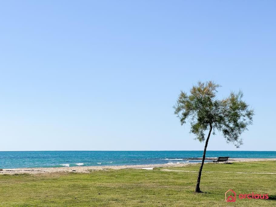 Appartement El Jardin à Oropesa del Mar Extérieur photo